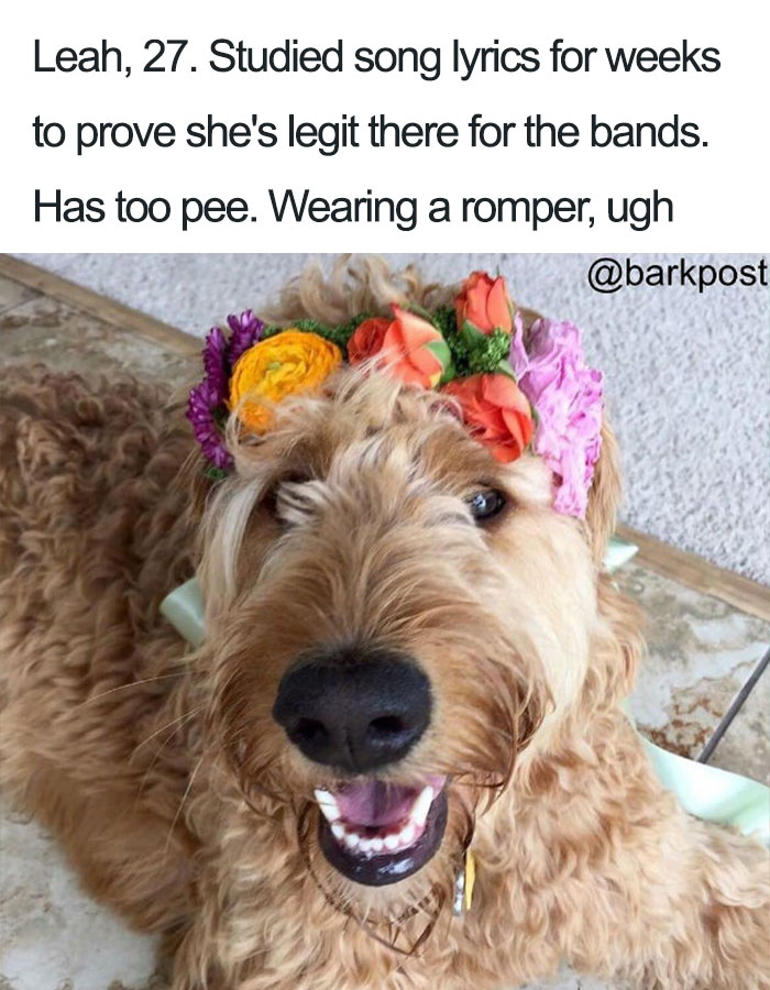 63 Dog Bios That Will Hilariously Remind You Of Somebody You Know Bored Panda