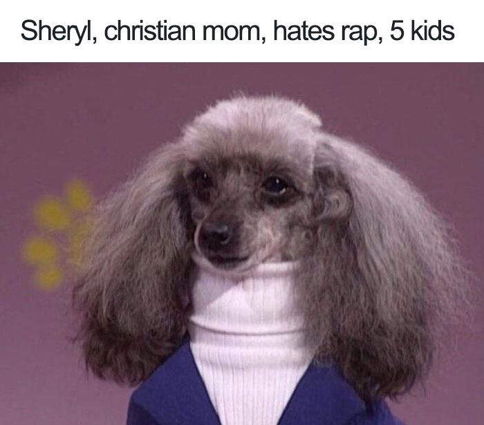 Sheryl The Poodle