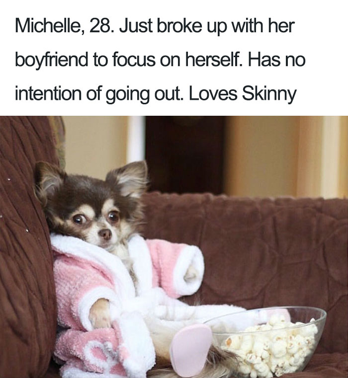 Michelle The Chihuahua