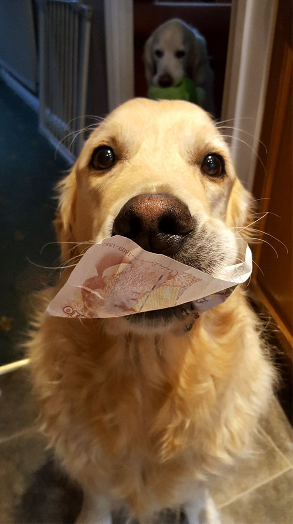 Charlie's Brought Me A Tenner