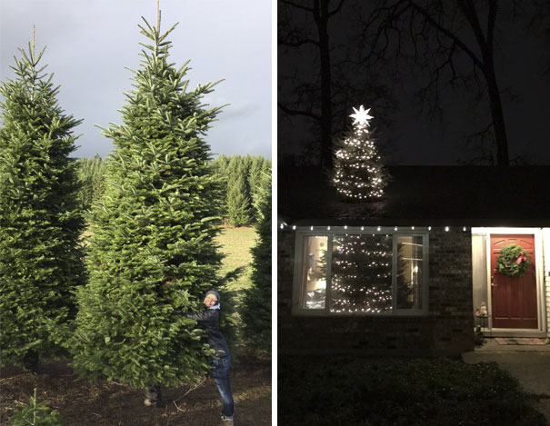 So This Year We Bought A 20 Ft Christmas Tree And Cut It In Half So It Goes Through The Roof