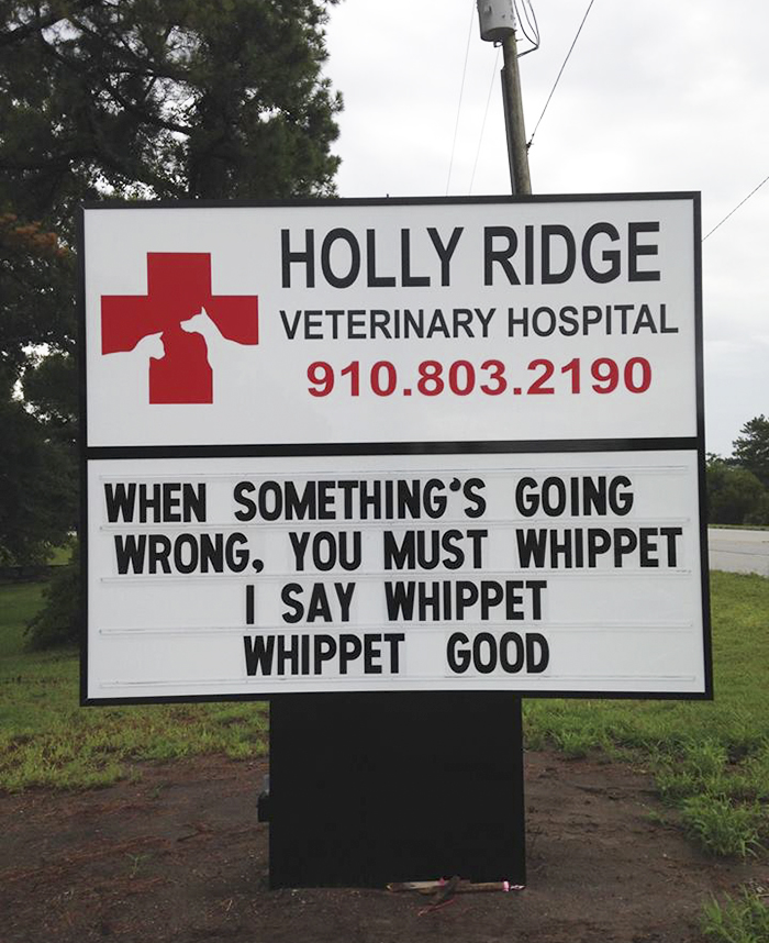 Funny-veterinarian-signs