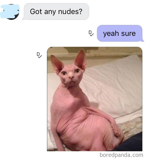 Here Are Your Nudes
