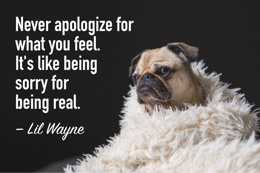 5 Hard-Hitting 'Pug Life' Quotes You Need To Hear 🐶