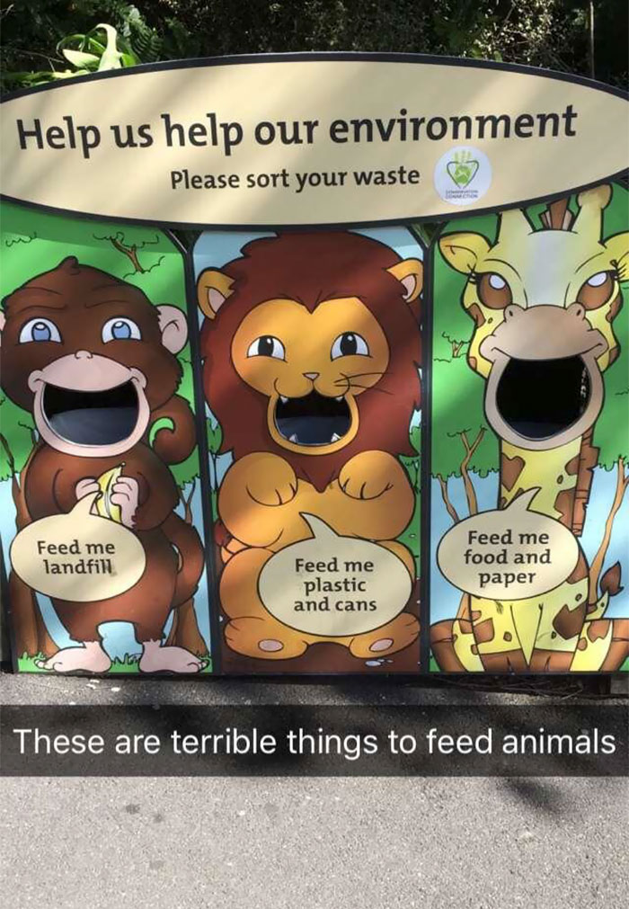 Teaching Kids Terrible Things At Wellington Zoo