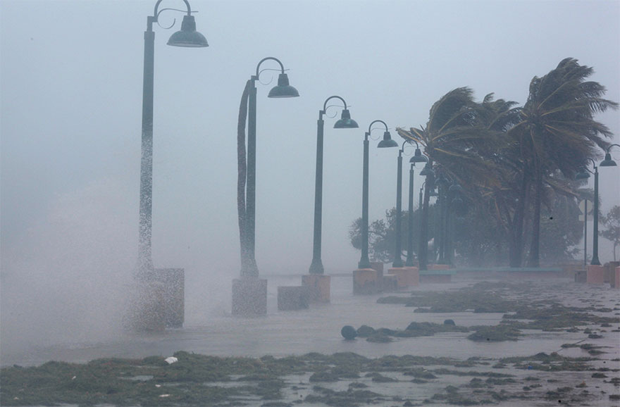 Palm Trees Buckle Under Winds And Rain As Hurricane Irma Slammed Across Islands In The Northern Caribbean In Fajardo, Puerto Rico