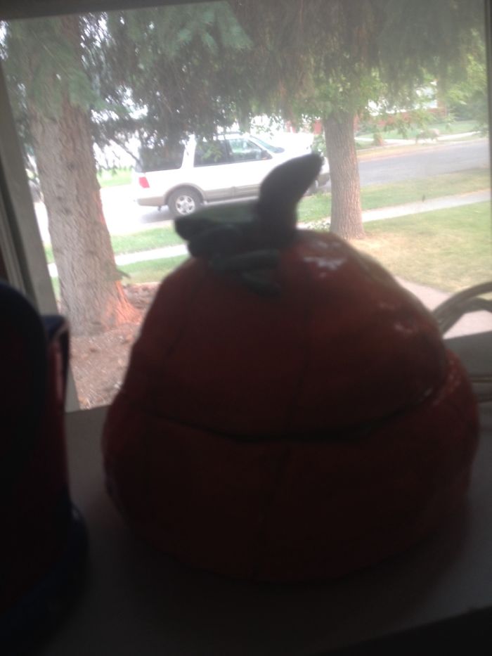 My Sister Made Me A Clay Pumpkin