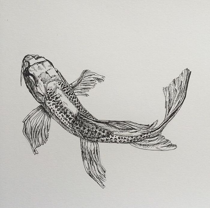 I Do Detailed Drawings Of Animals