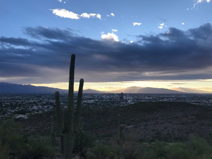 Tumamoc Hill -Tucson Arizona