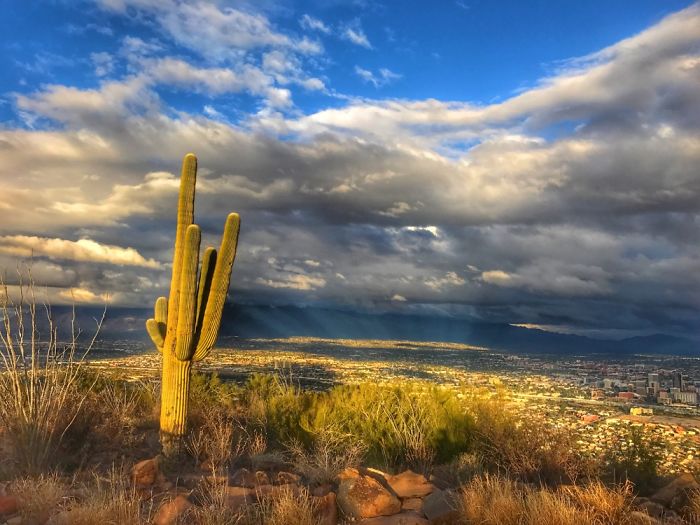 Tumamoc Hill -Tucson Arizona