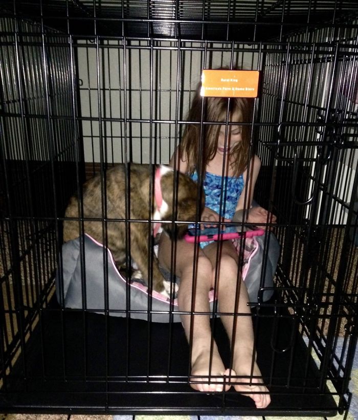 Teaching Pup To Crate Train