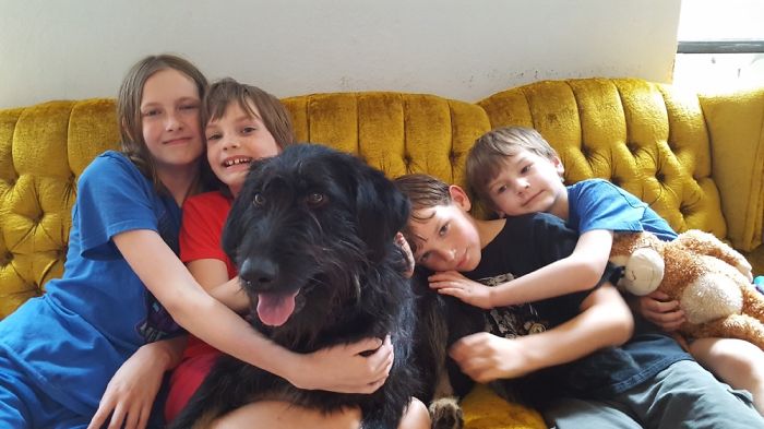 My Kids Welcoming Our Adopted Rescue, Juno, To Our Home