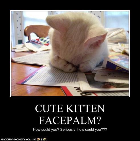 kittyfacepalm-59adf0aa38c01.jpg