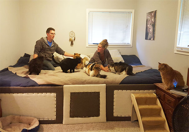 Girlfriend And I Have 5 Cats And 2 Dogs That All Love To Sleep With Us At Night... Solution? We Made An 11ft King + Full Mega Bed!