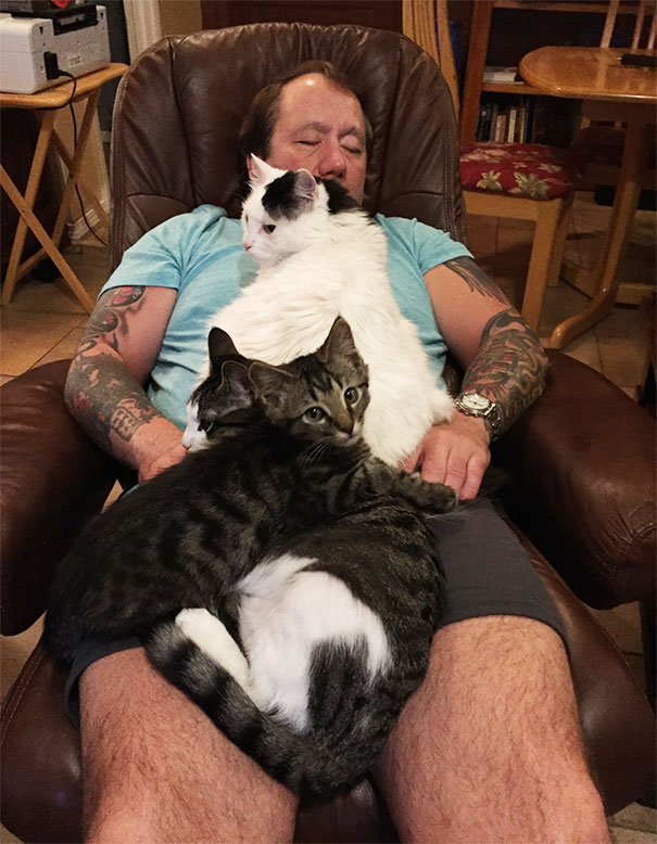 My Dad Has Achieved 100% Cat Relaxation
