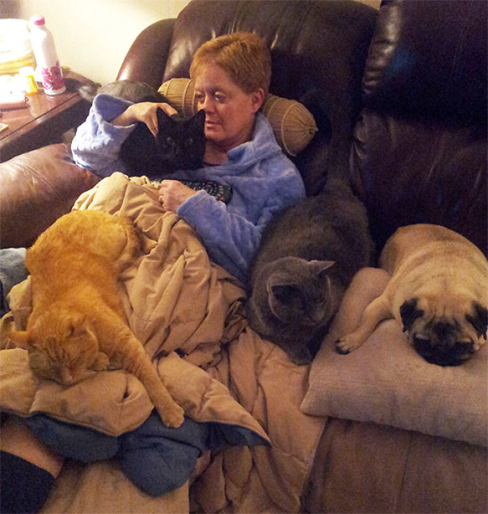 Acaban de operar a mi madre y sus mascotas le dan su confort
