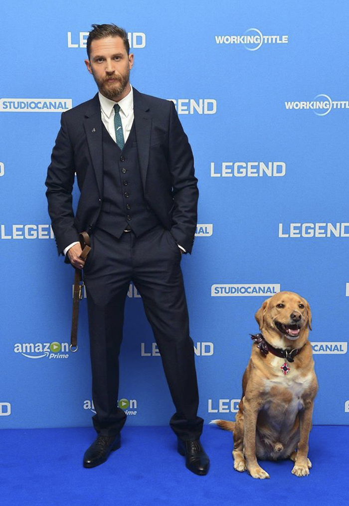 Love-for-dogs-tom-hardy