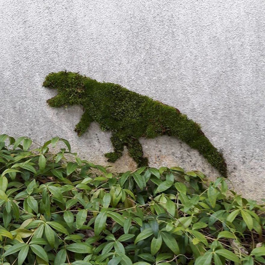 Ecological Graffiti, Street Art Made With Mosses