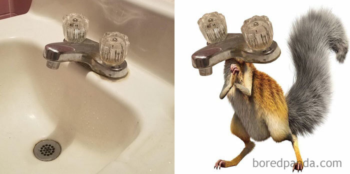 This Tap Looks Like Scrat From Ice Age
