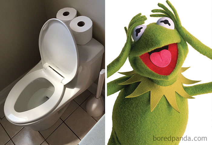 Kermit The Flush