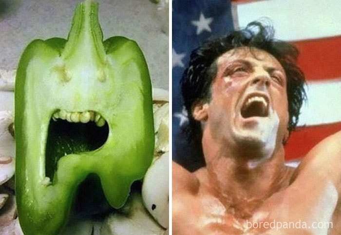 This Green Pepper Looks Like Sylvester Stallone