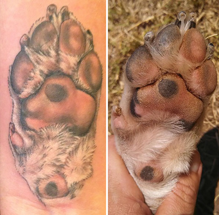 The Paws Of The Dogs Are Being Tattooed On Their Owners And The Result Is Adorable