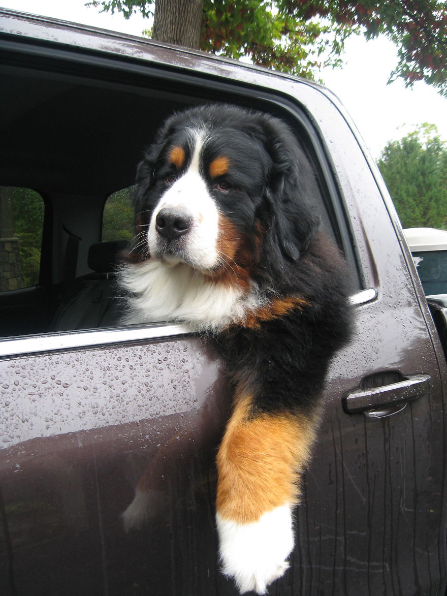 Ranger Out For A Ride
