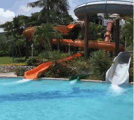 Man Slides Into Pool But Never Swims