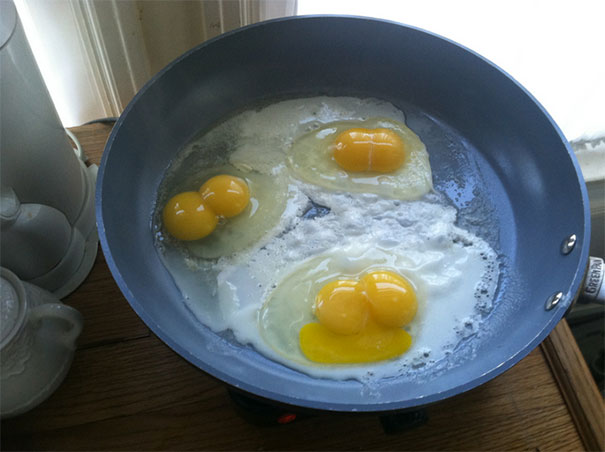 3 Eggs. All Twins. The Odds Of This Happening Are About 0.003%