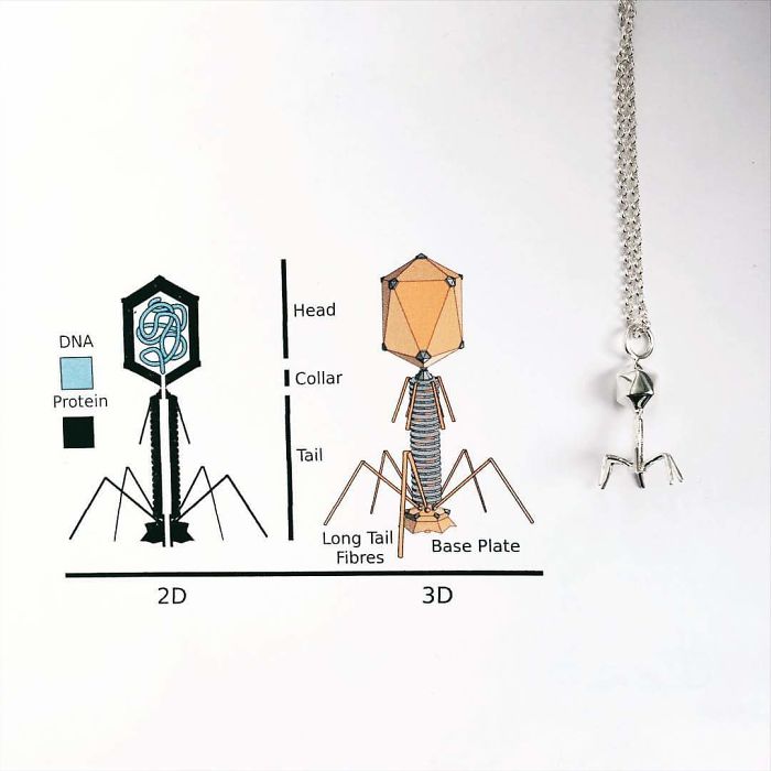Bacteriophage Necklace