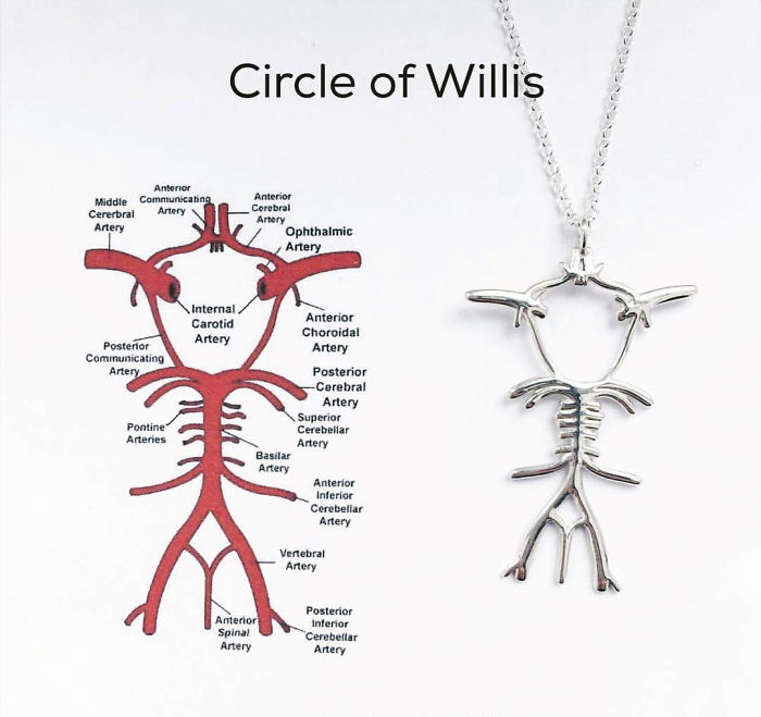 Circle Of Willis Necklace