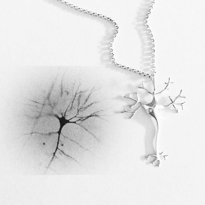 The Nerve Necklace