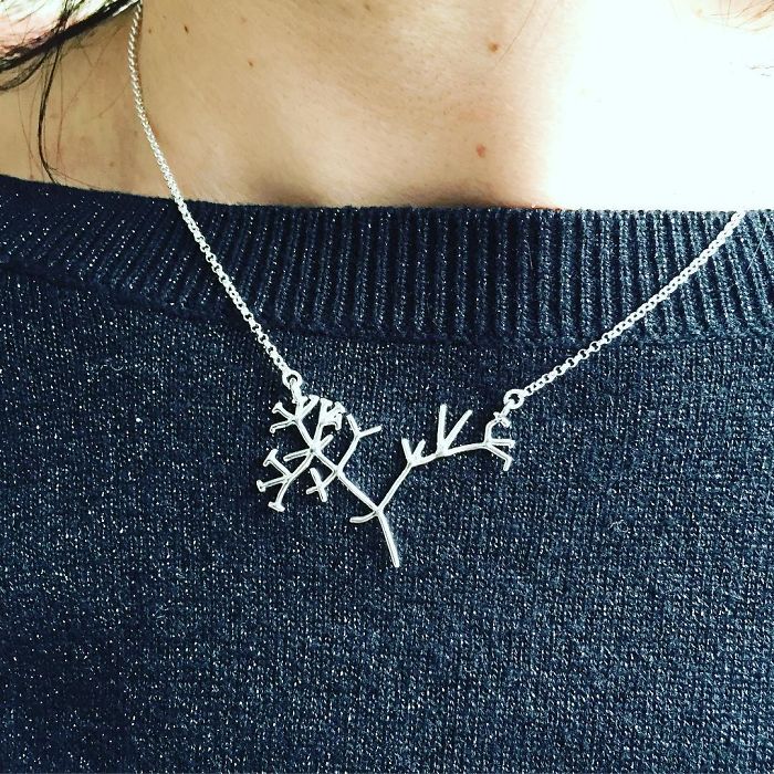 Phylogenetic Tree Necklace