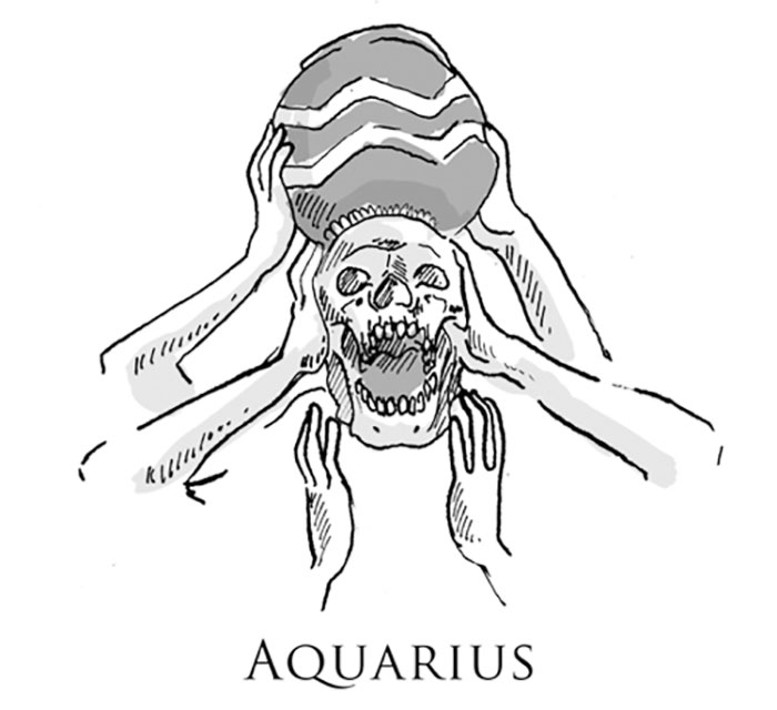 12 Zodiac Signs Like You’ve Never Seen Before
