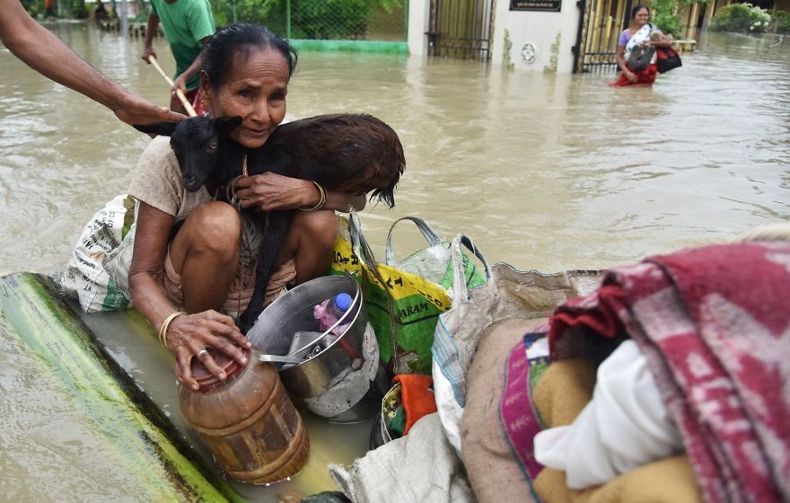 An Indian Woman Holds A Goat While Sitting On A Makeshift Raft In Koliabor Village In Assam