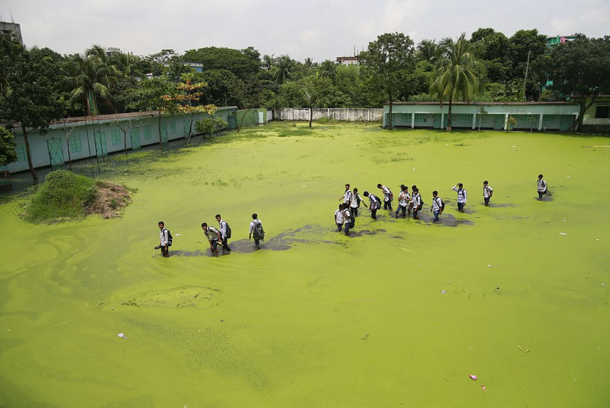 In Demra, Children Walk Through A Flooded Field As They Return Home From School. The Mix Of Rainwater And Toxic Waste From Industries Has Turned The Water Green