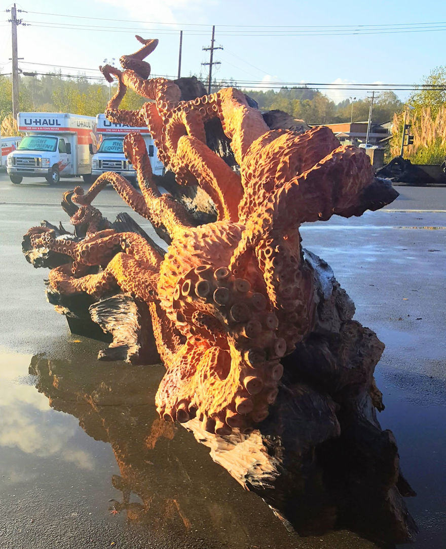 Este artista de la motosierra talla una enorme criatura marina en un trozo de secuoya caída