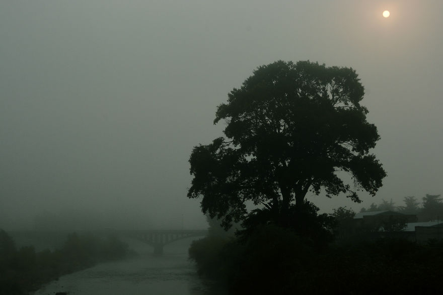 The Sun Of The Sleepless
