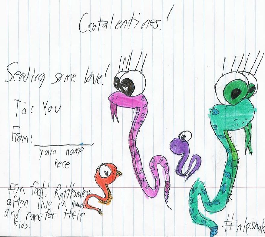 I Make Cute Drawings To Show People Snakes Aren't Evil