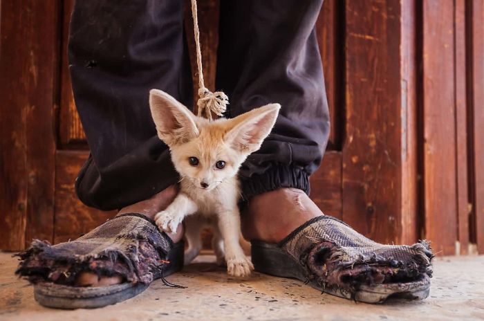23 Heartbreaking Photos Brought Together In A Book To End The Illegal Wildlife Trade