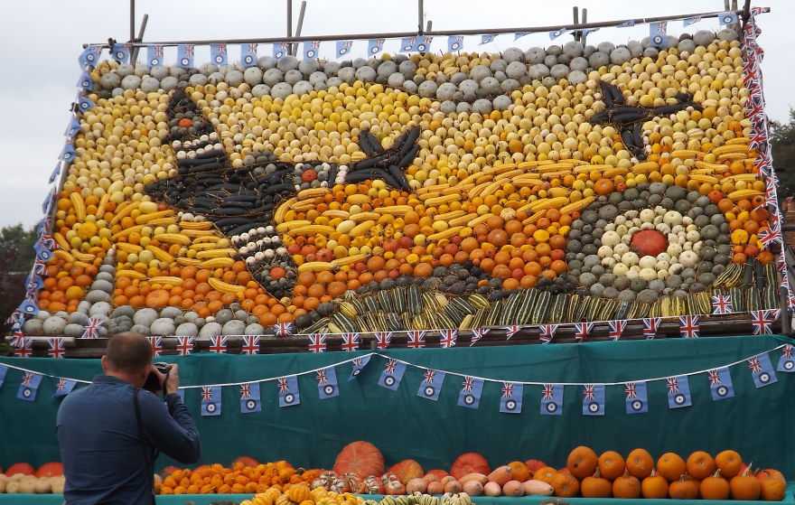 Pumpkin Mural Extravaganza