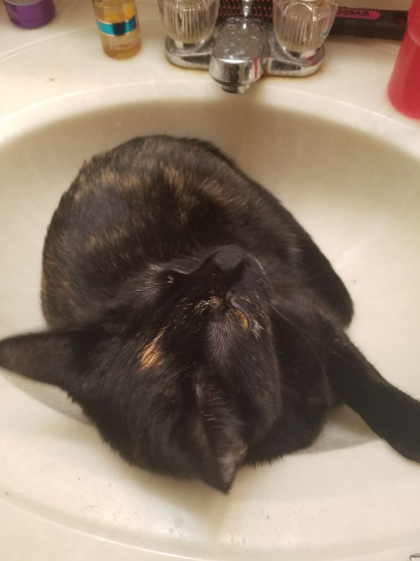 Yes, I Turned On The Water, And, No, It Didn't Make Her Leave...