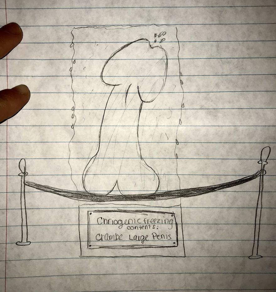 Dicks Are Funny