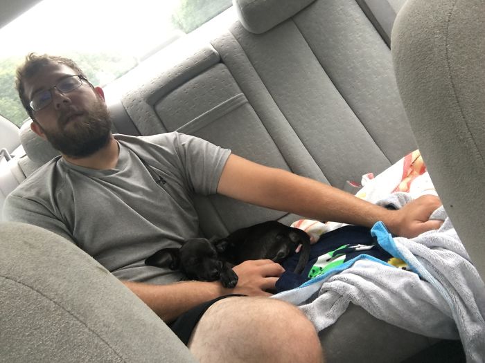 My Boyfriend And Our Rescue Puppy On The Way Home From The Shelter. Safe To Say It Was Love At First Nap.