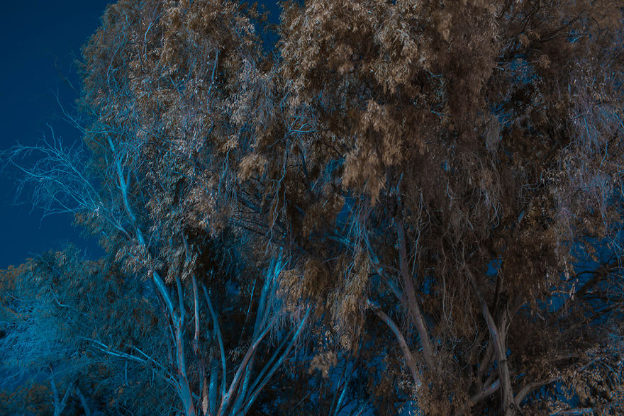 Burn In Blue: My Landscape Photo Series After Late Lab Work