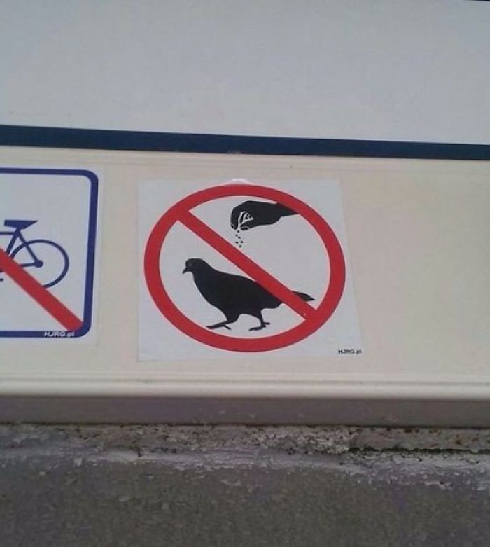 Please Don't Season The Birds