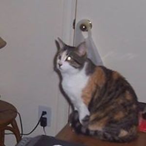 davyjones2112 avatar