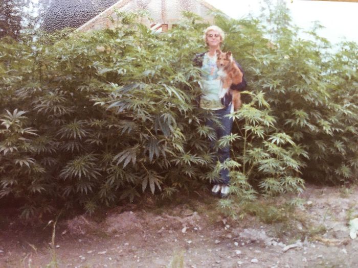 El "jardín" de mi madre en los 80