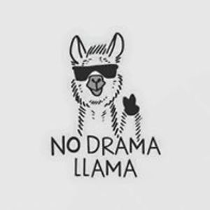 llama_alpacca avatar