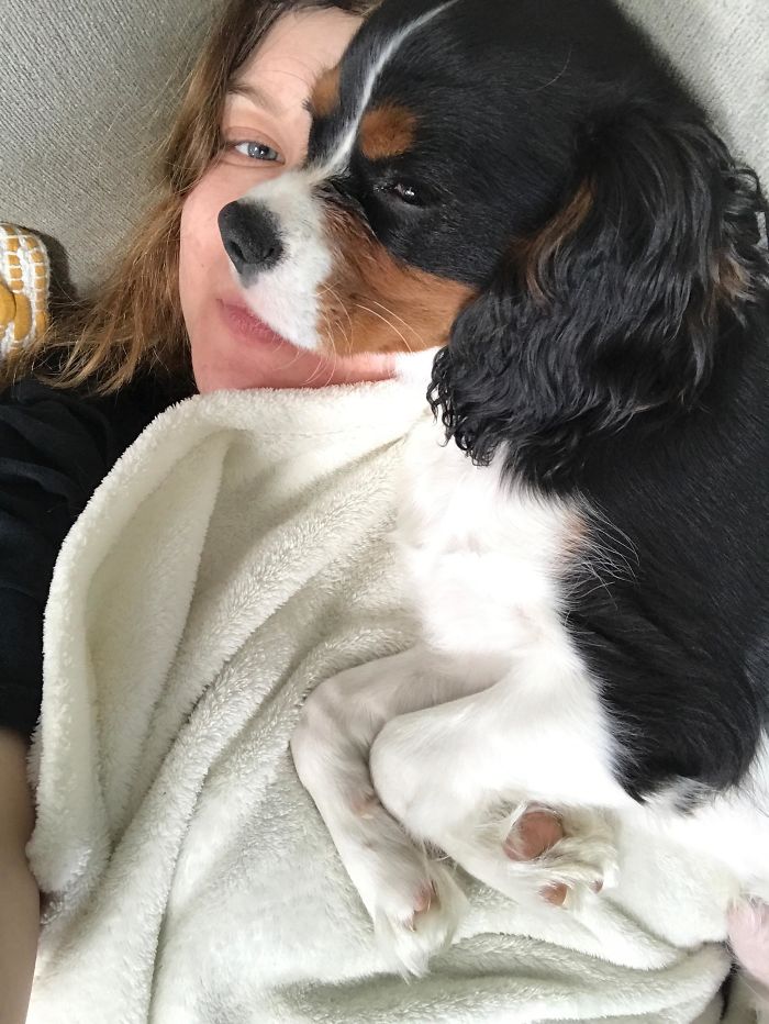 My Dog's Face Lining Up Exactly With My Sister's